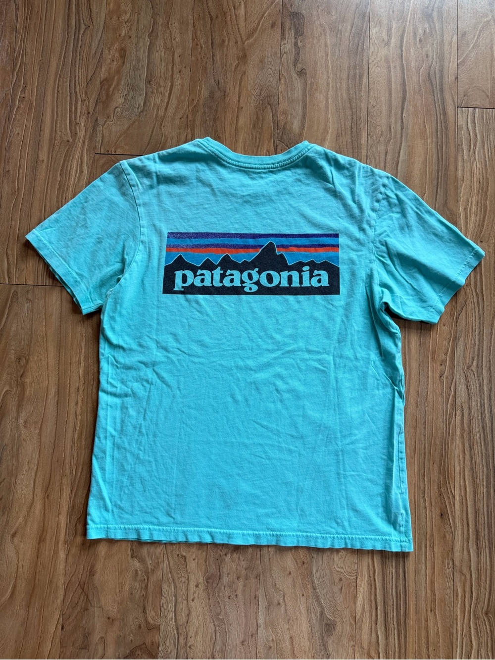Vintage Patagonia P-6 Label t-shirt